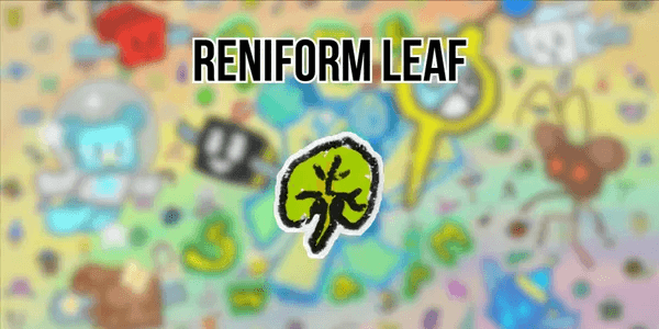 Reniform Leaf