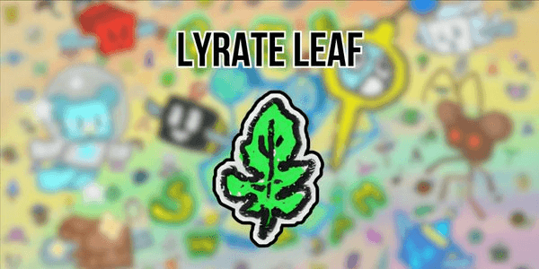 Gambar Product Lyrate Leaf