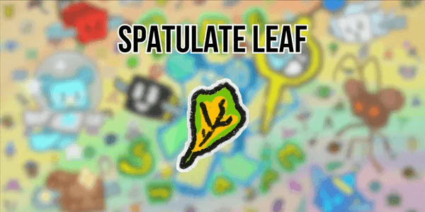 Spatulate Leaf