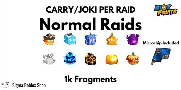 Gambar Product Joki per raid/fragment by Req