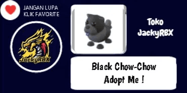 Black Chow-Chow