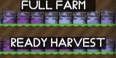 Gambar Product 'PEPPER WORLD /READY HARVEST'