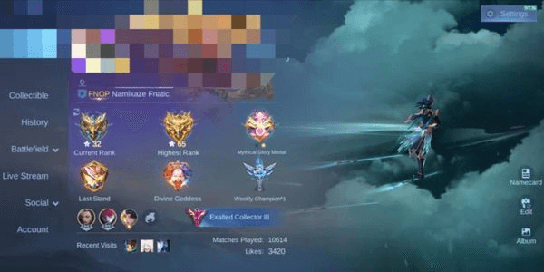 Gambar Product 'ACC MLBB SKIN BADBOY SPEC'