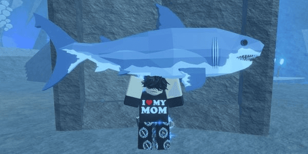 Gambar Product Ginsu Shark