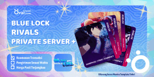 Private Server +