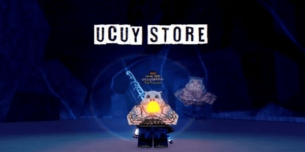 Product Showcase