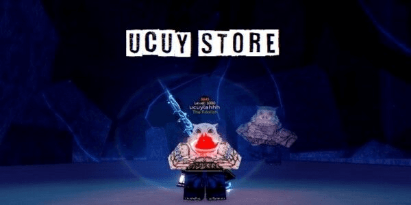 Product Showcase