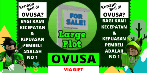 Large Plot