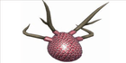 product-image-0