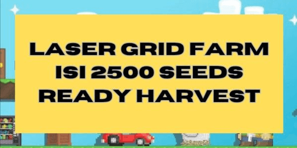 Gambar Product WORLD FARM LASER GRID / LGRID ISI 2500 SEEDS SUDAH READY HARVEST MURAH