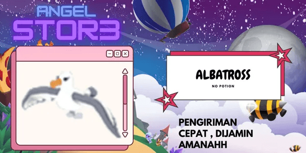 Albatross