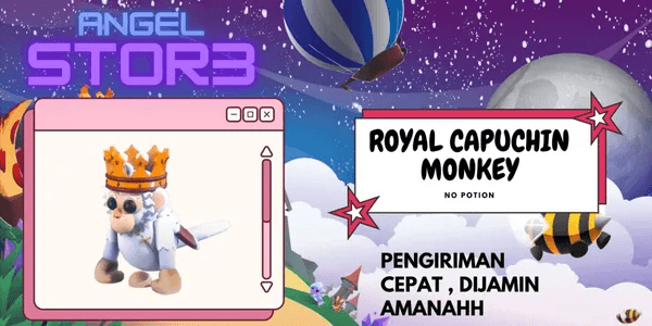 Royal Capuchin Monkey