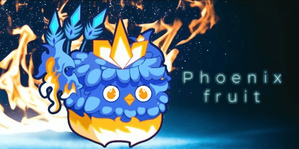 Gambar Product Phoenix