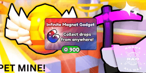 Infinite Magnet Gadget