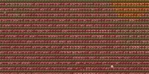 Gambar Product Laser Grid / Lgrid Farm Full Ready Harvest