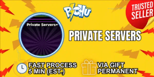 Private Server