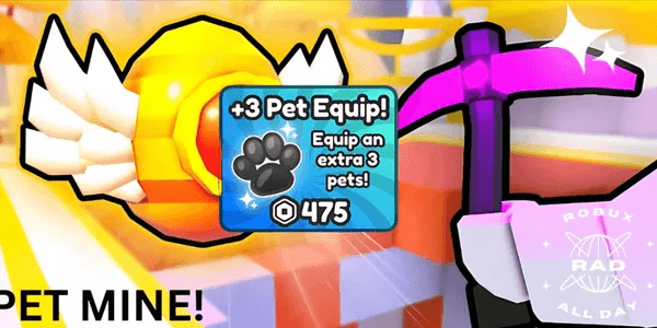 +3 Pet Equip