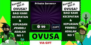 Private Server