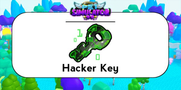 Gambar Product Hacker Key
