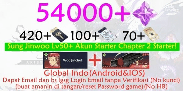 Gambar Product Akun Timbunan solo leveling arise-1