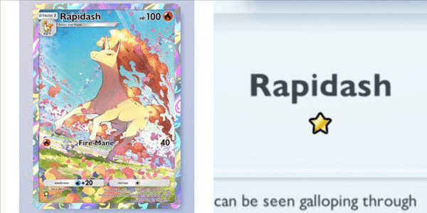 Gambar Product Rapidash #231