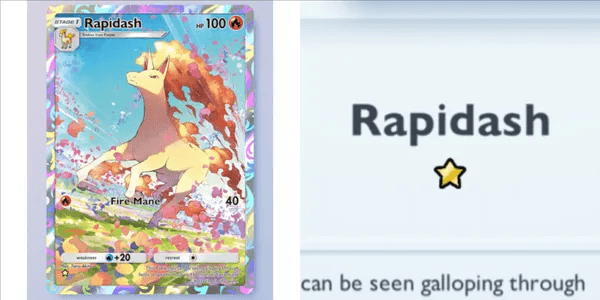 Rapidash #231