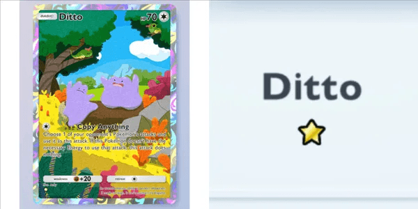 Ditto #247