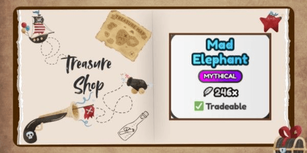 Product Showcase