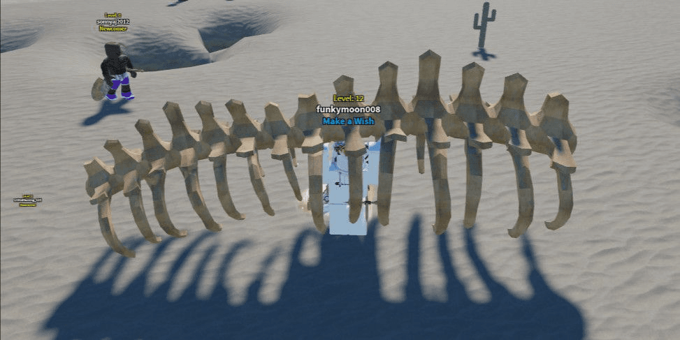 Product Showcase