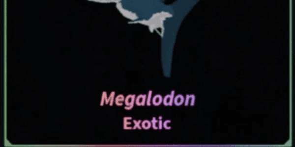 Gambar Product Megalodon -fisch