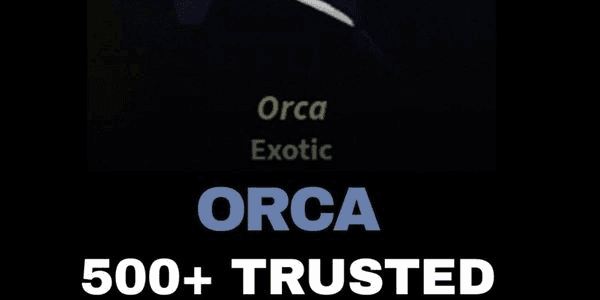 Gambar Product Orca All Size