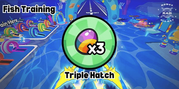 Gambar Product Triple Hatch