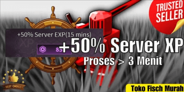 Server EXP