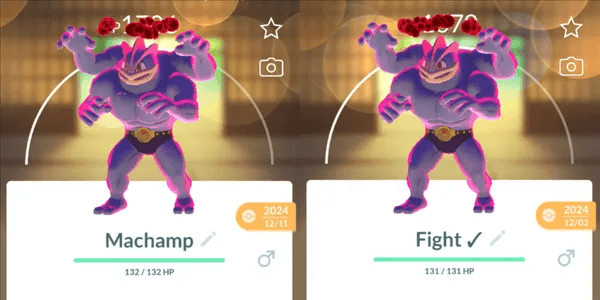 Machamp Dynamax (x2)