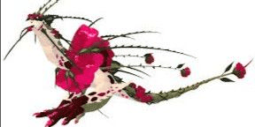 product-image-0
