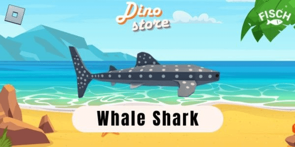 Gambar Product Whale Shark