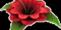product-image-0