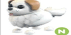 product-image-0