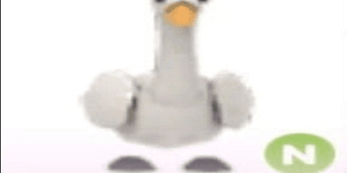 product-image-0