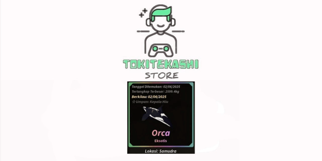 Product Showcase