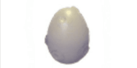 product-image-0