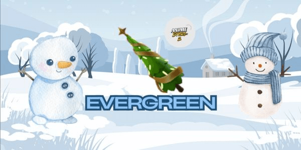 Gambar Product Evergreen