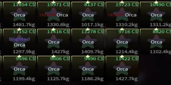 Gambar Product Orca in  is "orca" or "killer whale."