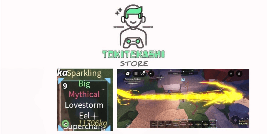Product Showcase