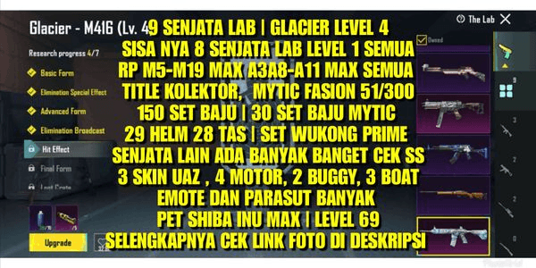 Gambar Product PUBG M416 LEVEL 4 | 8 SENJATA LAB | 20 RP MAX | PET SHIBA INU | TITLE KOLEKTOR DAN MYTIC FASION 51/300