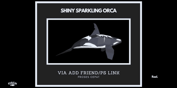 Gambar Product Sparkling Shiny Orca