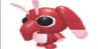 product-image-0