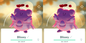 Blissey Dynamax (x2)