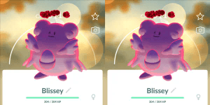 Blissey Dynamax (x2)