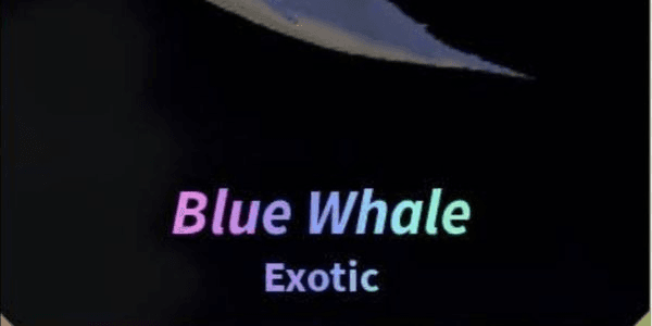 Gambar Product Blue whale